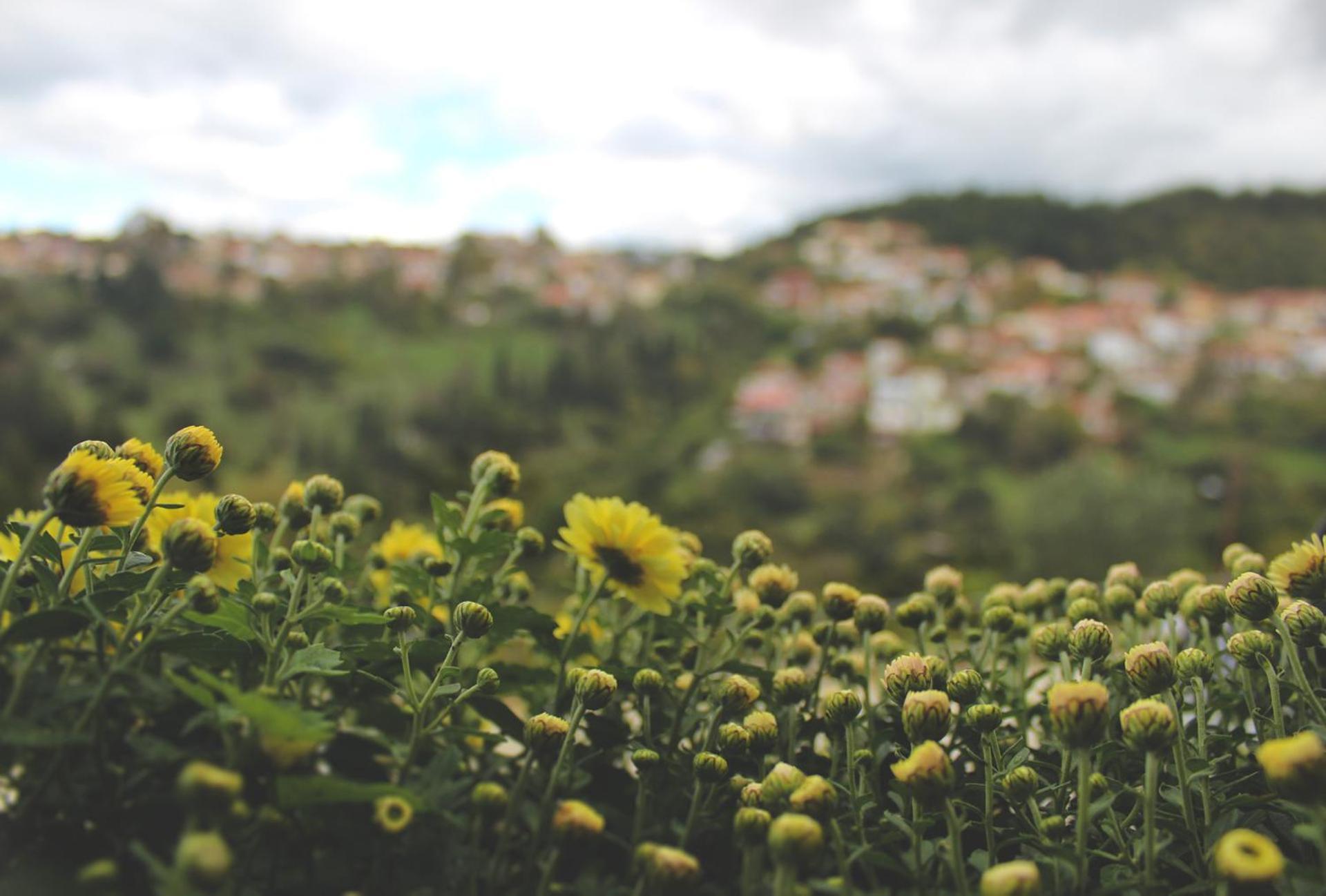 Agnanti Zitsas Hotel Dış mekan fotoğraf