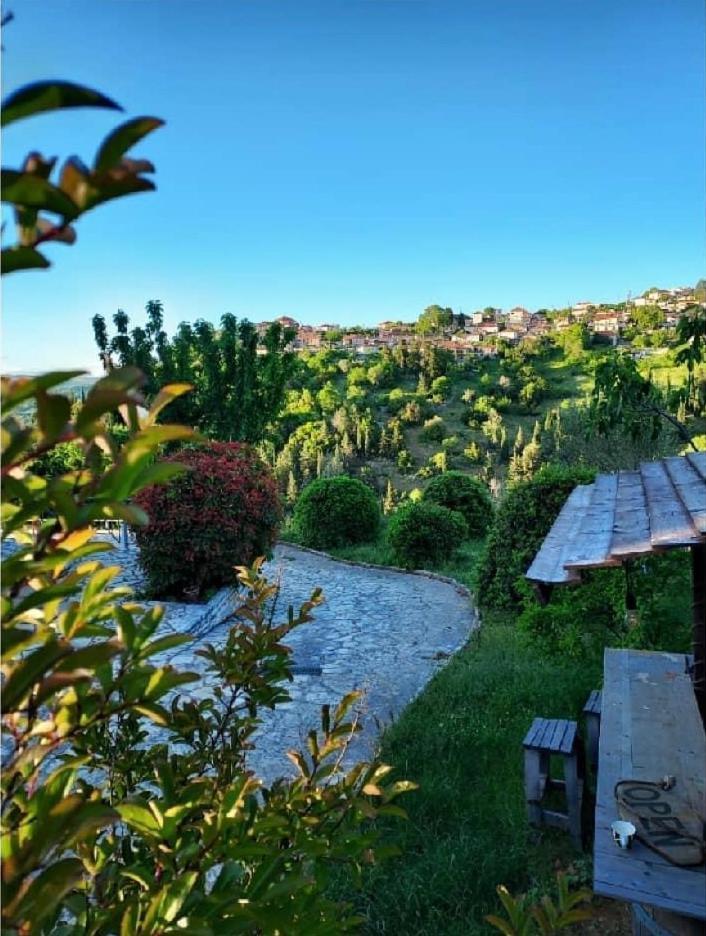 Agnanti Zitsas Hotel Dış mekan fotoğraf