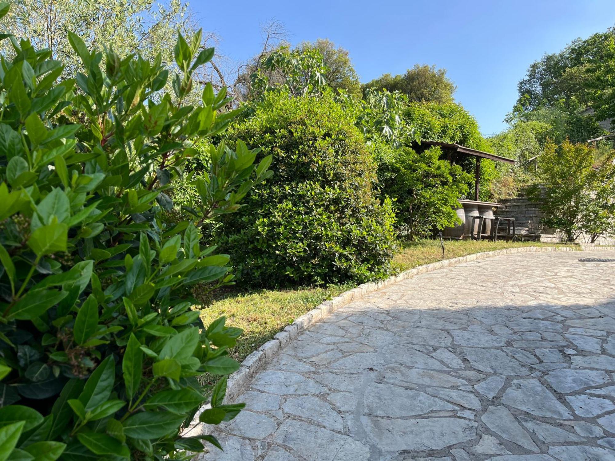 Agnanti Zitsas Hotel Dış mekan fotoğraf